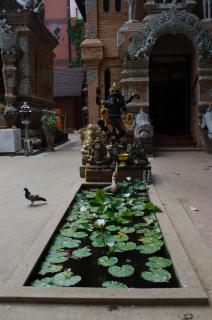 i-smile & U2 Hostel - Chiang Mai - 5