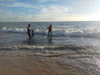 MARARI BLESSING BEACH FRONT HOMESTAY - Mararikulam - 6