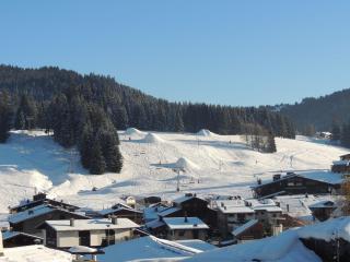 Chalet cosy près du centre, Wifi, Parking, 6 pers. - FR-1-598-16 - 2