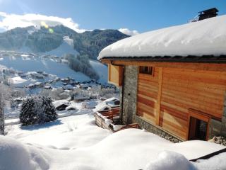 Chalet familial confortable, proche navette, garage, WiFi - FR-1-598-24 - Les Gets - 9