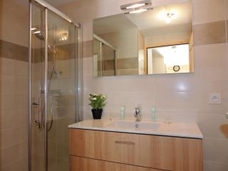 T3 aux Gets, vue sur pistes - FR-1-598-5 - 5