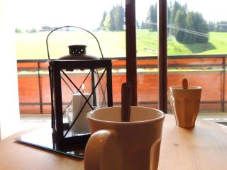 Appartement T2 au pied des pistes, cœur de village - 3 étoiles - 4 personnes - FR-1-598-65 - 1