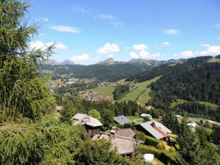Chalet familial aux Gets avec cheminée et terrasse panoramique - FR-1-598-15 - Les Gets - 8