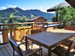 Appartement de prestige spacieux et lumineux avec sauna et parking inclus - FR-1-598-48 - Les Gets - 3