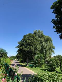 Ferienhaus Rupnow Plau am See - 6