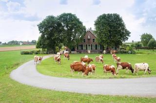 Sint Nicolaashoeve - 0
