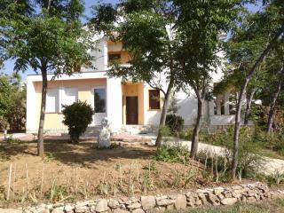 Apartments Krešimir beauty with shadow trees and parking place - Pag - 3