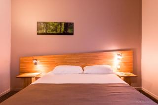 Quality Hotel Pau Centre Bosquet - Pau - 9