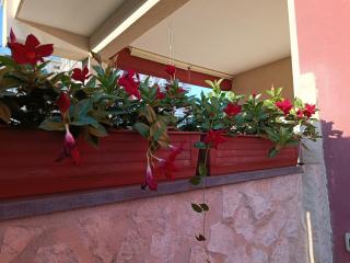Peppe's house - Gravina di Catania - 9