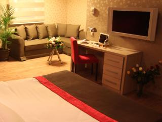 Ramada by Wyndham Ankara - Ankara - 7