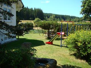 Schönes Doppelzimmer mit separater Wohn-Küche im nördlichen Nationalpark Schwarzwald - Forbach - 1