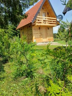 Tisina Tare - Bajina Bašta - 2