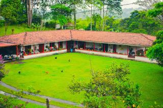 Villa Cristina - Casa Boutique - Pereira - 6