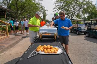 Sawmill Creek by Cedar Point Resorts - 1