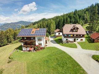 Biohof Stockreiter vulgo Grillschmied - Murau - 0