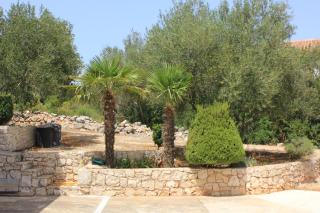 Apartments by the sea Cove Mala Lamjana, Ugljan - 347 - 3