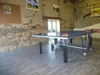 Gîte rustique avec salle de jeux et animaux en campagne - FR-1-426-336 - Saint-Julien-des-Landes - 9