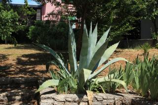 Seaside holiday house Artatore, Losinj - 7937 - Cunski - 3