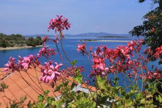 Apartments by the sea Zaglav, Dugi otok - 8191 - Sali - 6