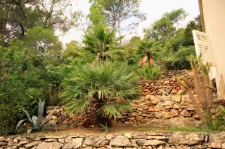 Secluded fisherman's cottage Cove Stoncica, Vis - 8894 - 2