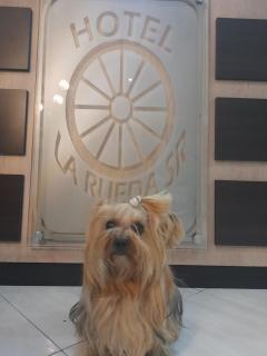 HOTEL LA RUEDA SR - Barbosa - 4