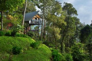 Bamboo Dale Resort, Munnar - Munnar - 6