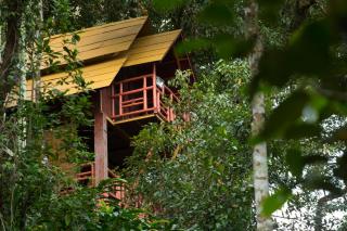 Bamboo Dale Resort, Munnar - Munnar - 7
