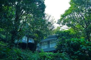 Wayanad Wild - A CGH Earth Experience - Vythiri - 1