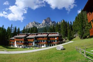 Petit Arnica - Selva di Cadore - 2