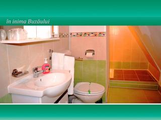 Pensiunea Casa Matei - 7