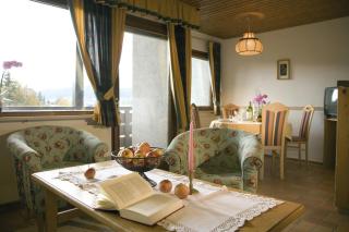 Haus Wandl - Seefeld in Tirol - 7