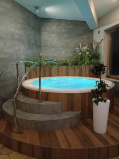 MOKKA SILVER Spa&Ski Apartamenty Viva Maria - Zakopane - 5