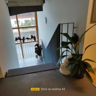 Herberge Balmweid 1 - 8