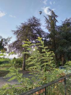 La Bernaudine bis - Annonay - 1