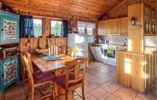 Nice Home In Hovden I Setesdalen - 5