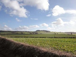 Whitey Top Country Lodge - Pentridge - 6
