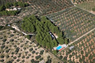 Residence San Luca Vieste - Vieste - 9