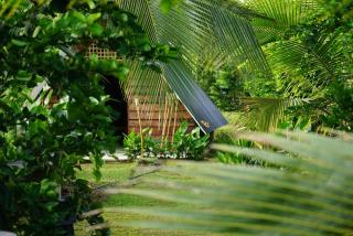 Bewak CR - Tortuguero - 5