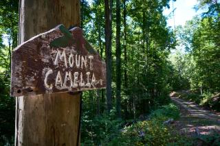 Gatlinburg Adventure Cabins - Sevierville - 5
