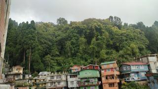 Dik's Home - Darjeeling - 3