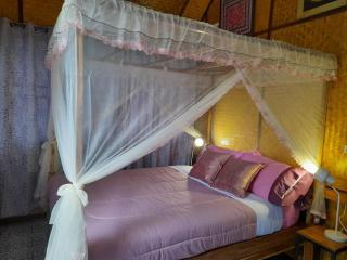 Hin Khong Villa - a tropical surprise - Ban Huai Sai - 2