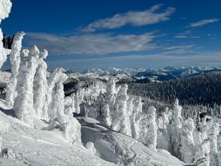 Whitefish Slopeside Condo - Whitefish - 7
