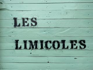 Les Limicoles maison proche mer - Gouville-sur-Mer - 9
