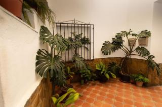 Precioso piso de 3 dormitorios, cocina y 1 baño - Cómpeta - 9