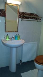 Shearwater - Bridlington - 9