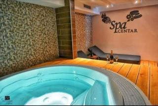 Studio Apartman 'Milena' - Zlatibor - 8