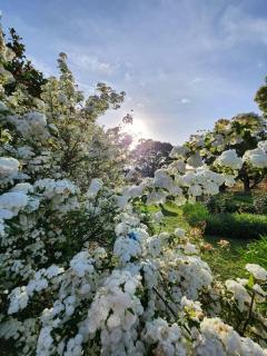 Lalani B&B/Self catering Cottages - Riviersdaal - 7