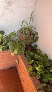 Casa Bonita Barrio Sur - 8