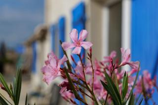 MOULIN DE MAUZAC - Saint-Just - 3