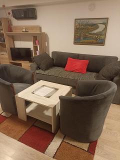 Apartman Vila Lela - Aranđelovac - 8